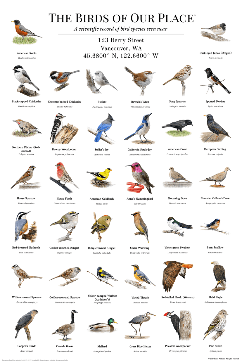 Vancouver Washington bird print