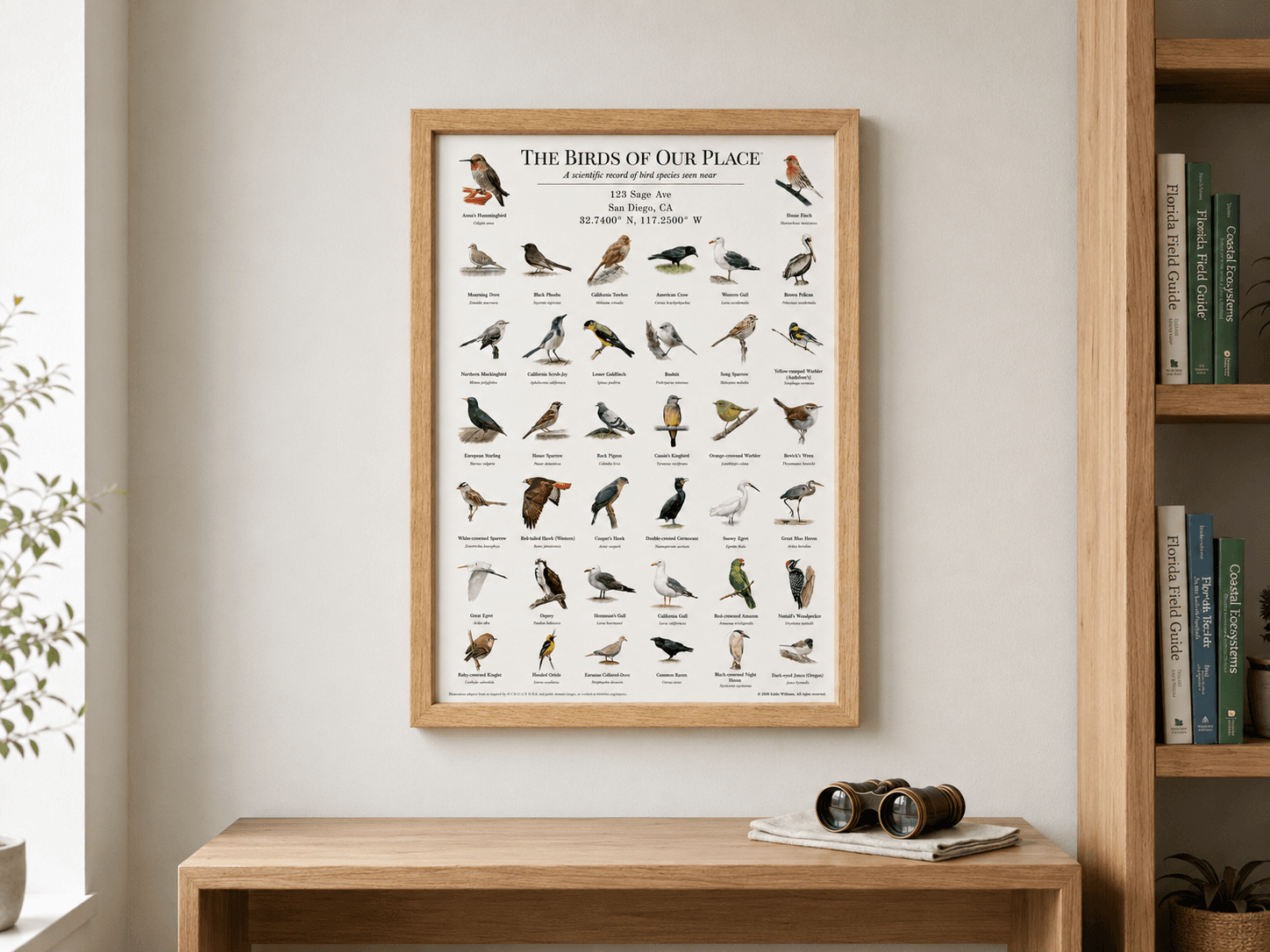 Framed bird print hanging on a wall next to bookshelves with field guides and binoculars