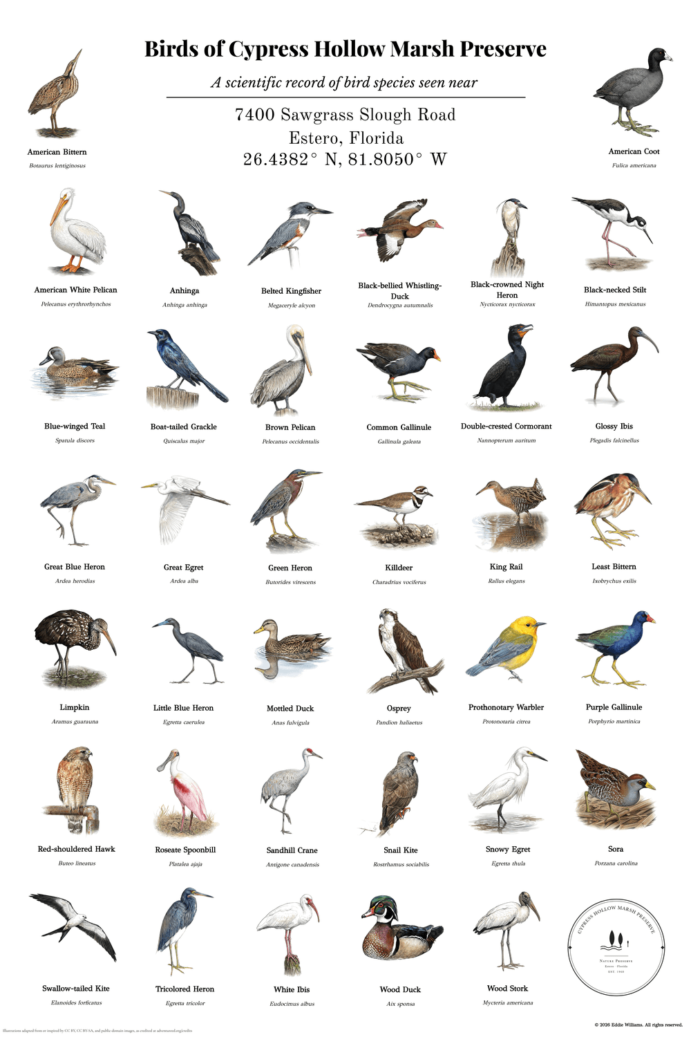 Birds of Cypress Hollow Marsh Preserve — a custom 38-species bird print for a Florida wetland nature center